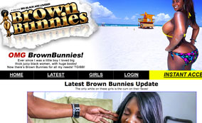 Brown Bunnies