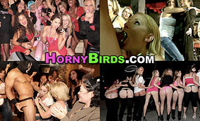 HornyBirds